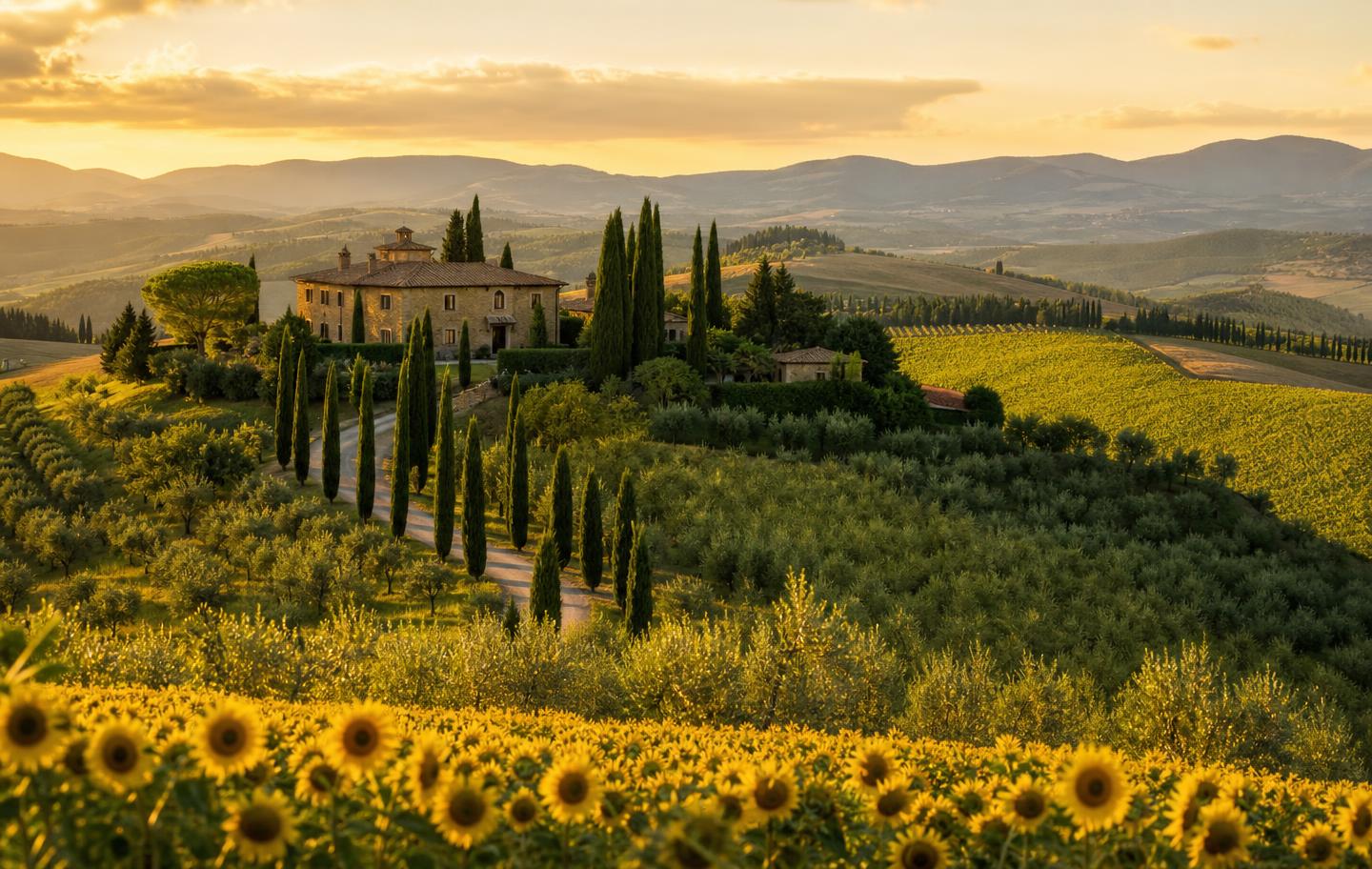 Panoramic view of a restored Tuscan estate with cypress driveway, vineyards and olive groves